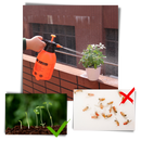 Pump Garden Sprayer