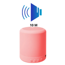 Mini Bluetooth Speaker