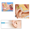 3 in 1 Ear Camera
