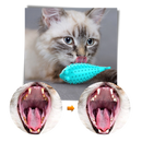 Fish shaped refillable cat toothbrush