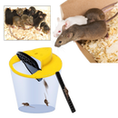 Bucket Rat and Mice Trap
