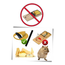 Bucket Rat and Mice Trap