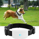Pet GPS Tracking Collar