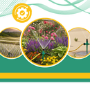 Adjustable Rotary Lawn Sprinkler