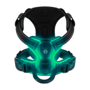 Blink LED Light Dog Harness