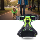 Blink LED Light Dog Harness