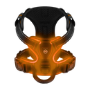 Blink LED Light Dog Harness