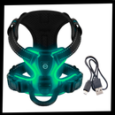 Blink LED Light Dog Harness