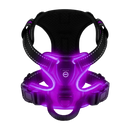 Blink LED Light Dog Harness