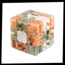 Brain Builder Maze Cube