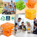 Brain Builder Maze Cube
