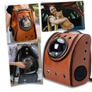 Cat Travel Backpack