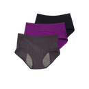 High Waisted Incontinence Panty