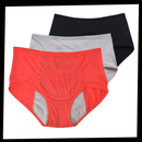 High Waisted Incontinence Panty
