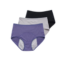 High Waisted Incontinence Panty