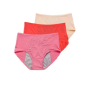High Waisted Incontinence Panty