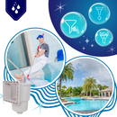 Pool Debris Filter