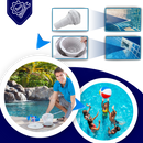 Pool Debris Filter
