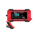Smart 12V Battery Revive Charger