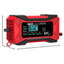 Smart 12V Battery Revive Charger