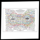 Wellness Cloth Web Chart